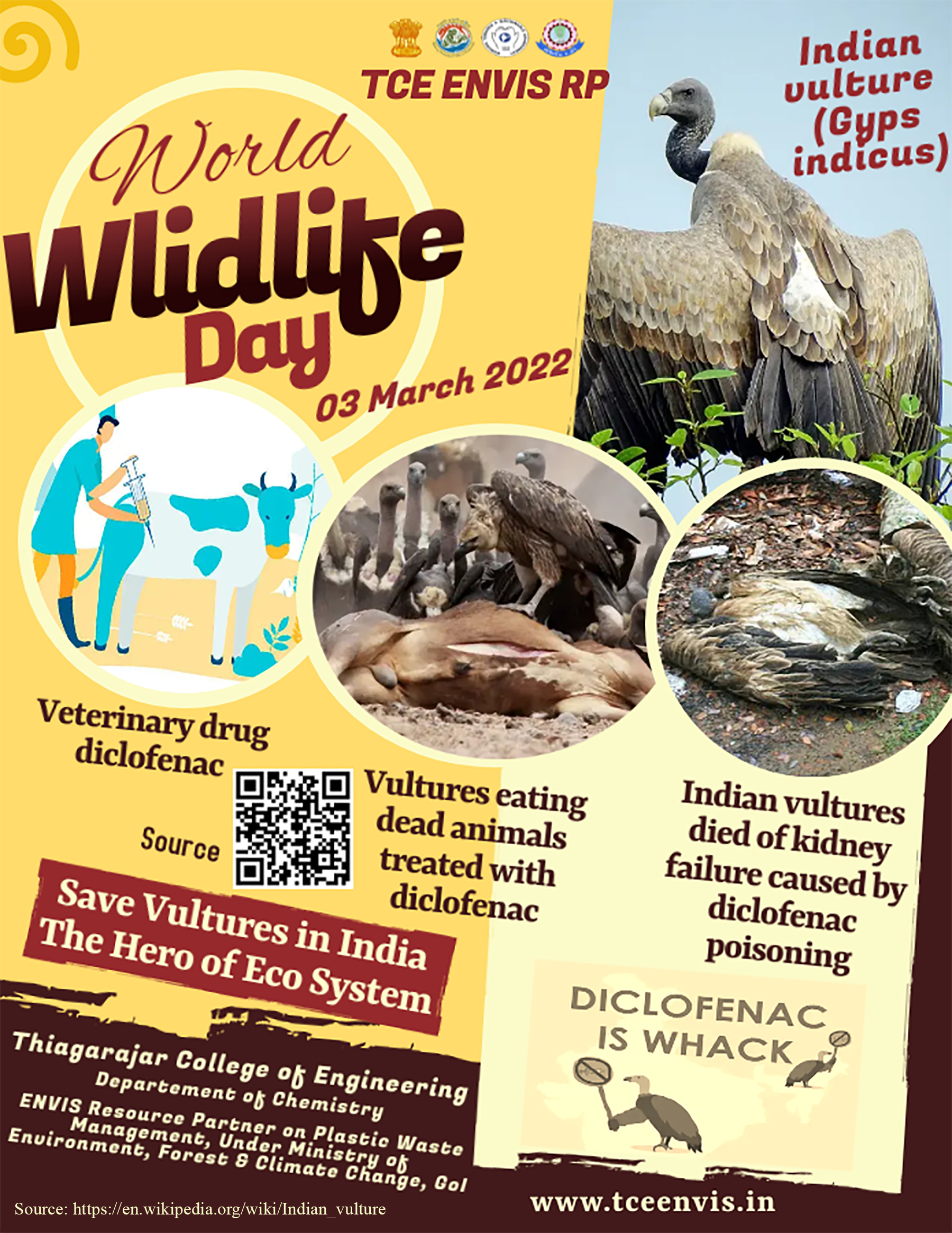 World Wildlife Day 2022 - Indian Vulture